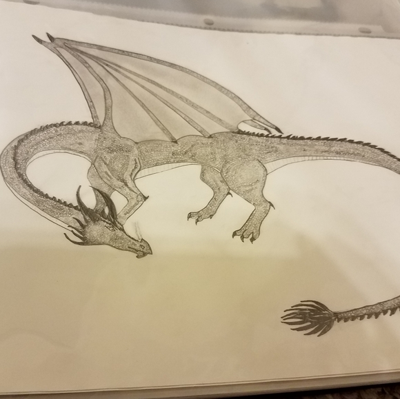 Meet your Posher, Ceara - Picture 15 of 16